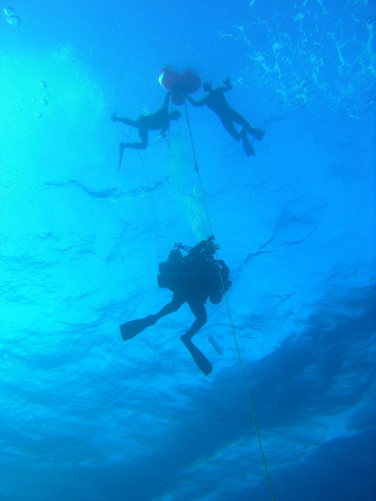 wróć do wydarzenia